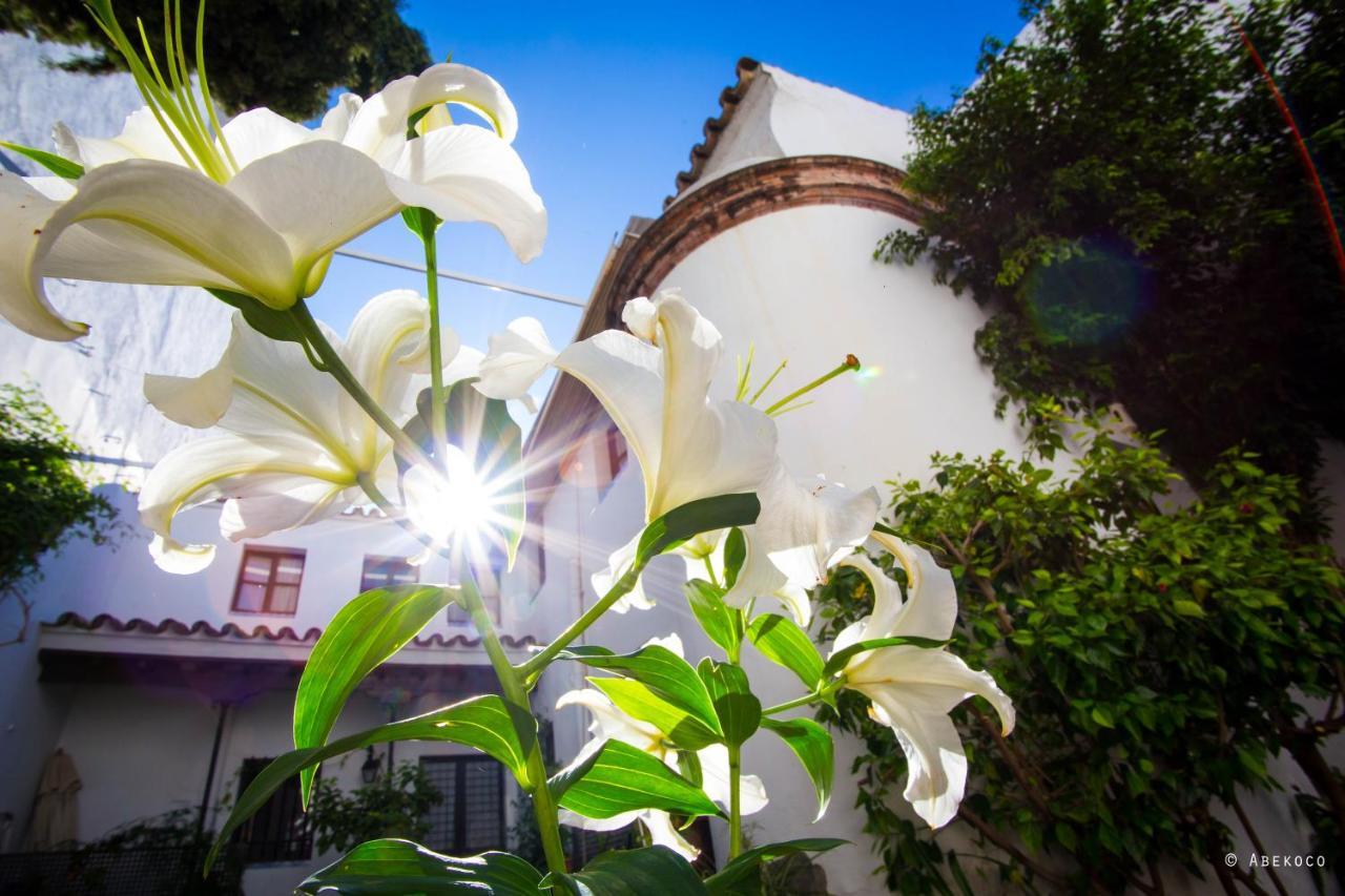 Casa Del Siglo XVII Βίλα Σεβίλλη Εξωτερικό φωτογραφία